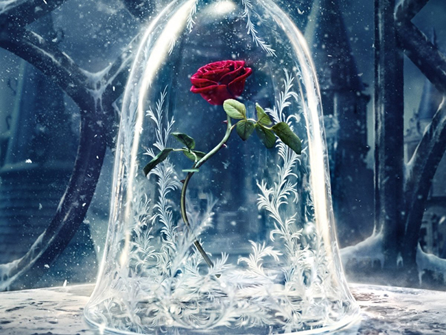 [EduNote] Мария Кутузов - Нарциссизм и «теория пер_0.jpg